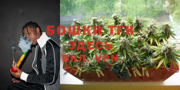 гидропоника Алзамай