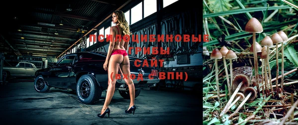 гидропоника Алзамай