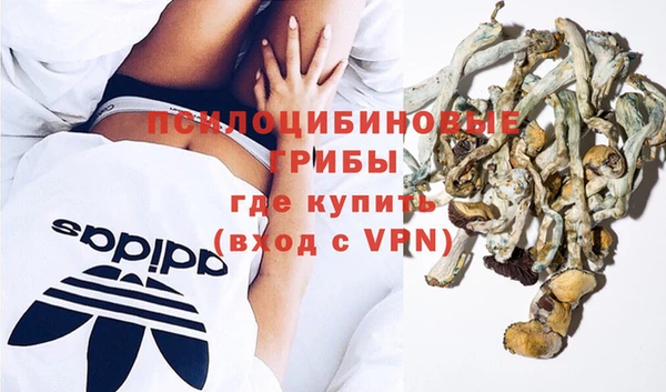 спиды Алексин