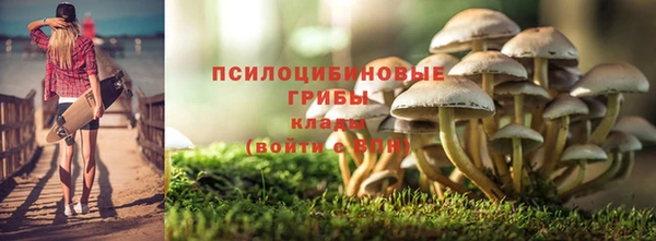 гидропоника Алзамай