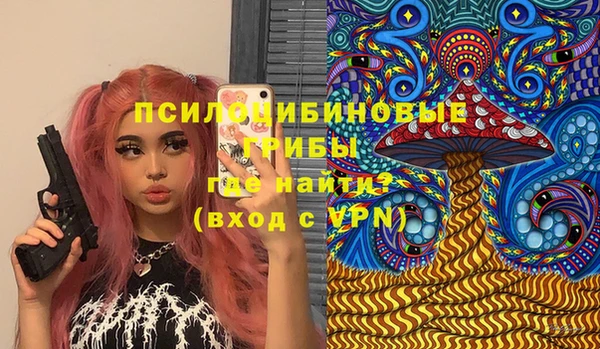 спиды Алексин